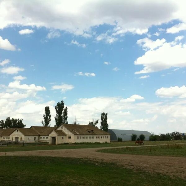 Александровский конный завод курская область касторенский. Александровский конный завод курская область. Александровский конный завод. Александровский конный завод. Александровский конный завод курская область касторенский.