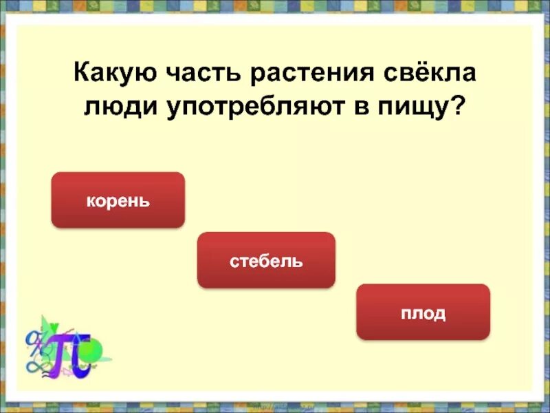 Какие части растения использует человек. Какие растения человек употребляет в пищу. Какие части растения употребляют в пищу у свеклы. Какую часть растения человек употребляет в пищу. Какую часть свеклы употребляют в пищу.