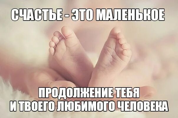 Следующая твоя любимая