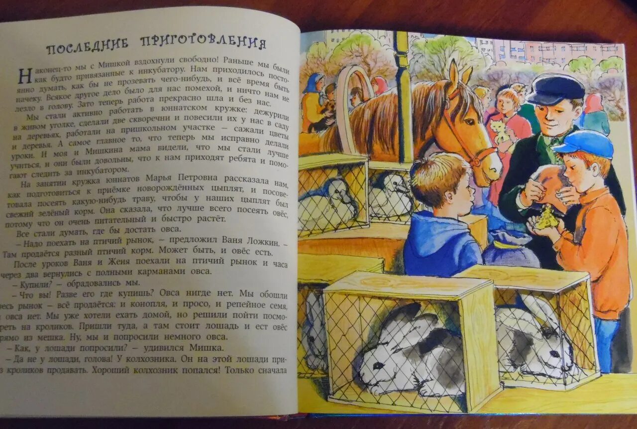 Веселая семейка кратко. Носов веселая семейка. Носов н. веселая семейка. Повесть веселая семейка Носова.