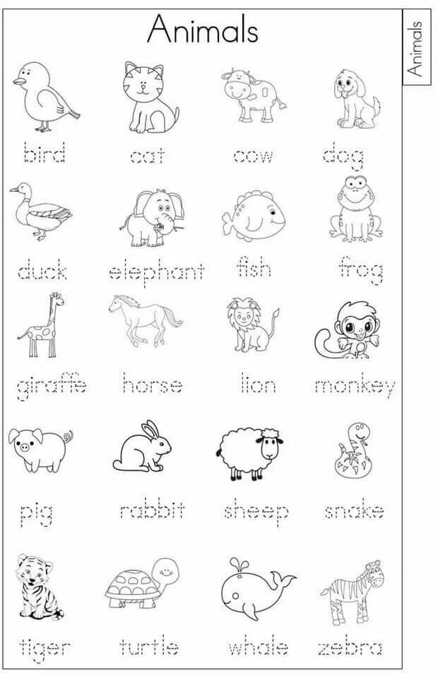 Найти животных на английском языке 2 класс. Английский animals worksheets for kids. животные на английском для детей. задания английский английский животные. прописи на английском для детей животные.