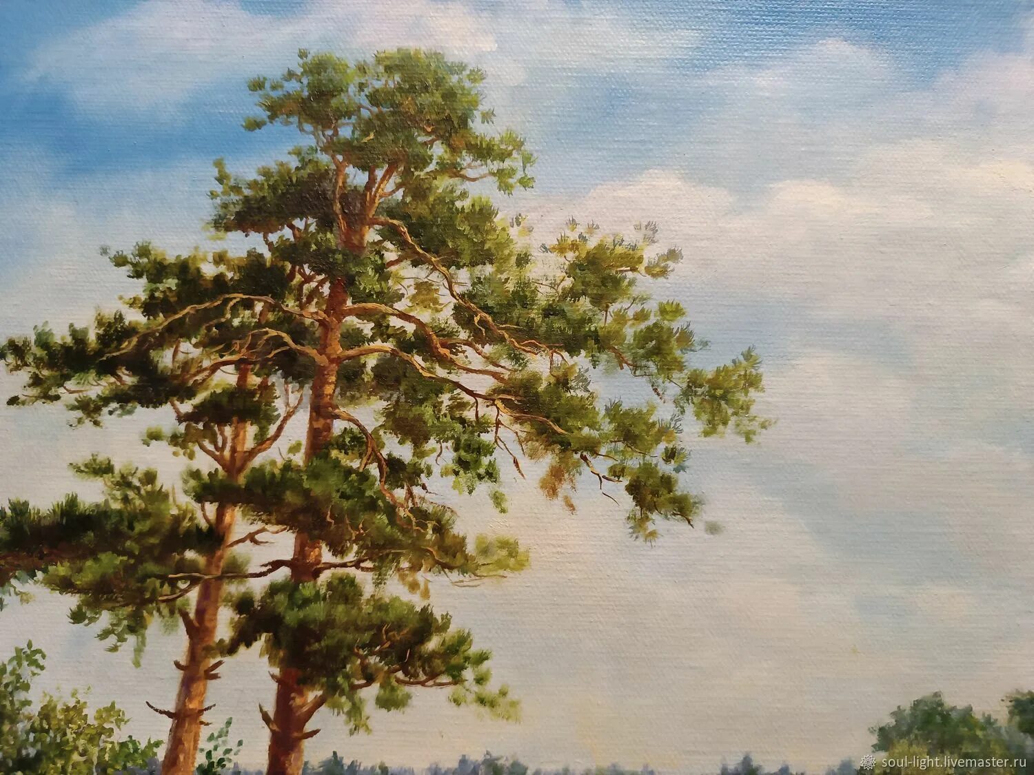 Сосна картина. Автор картины сосна. Автор картины сосна. Автор картины сосна. Сосна картина.