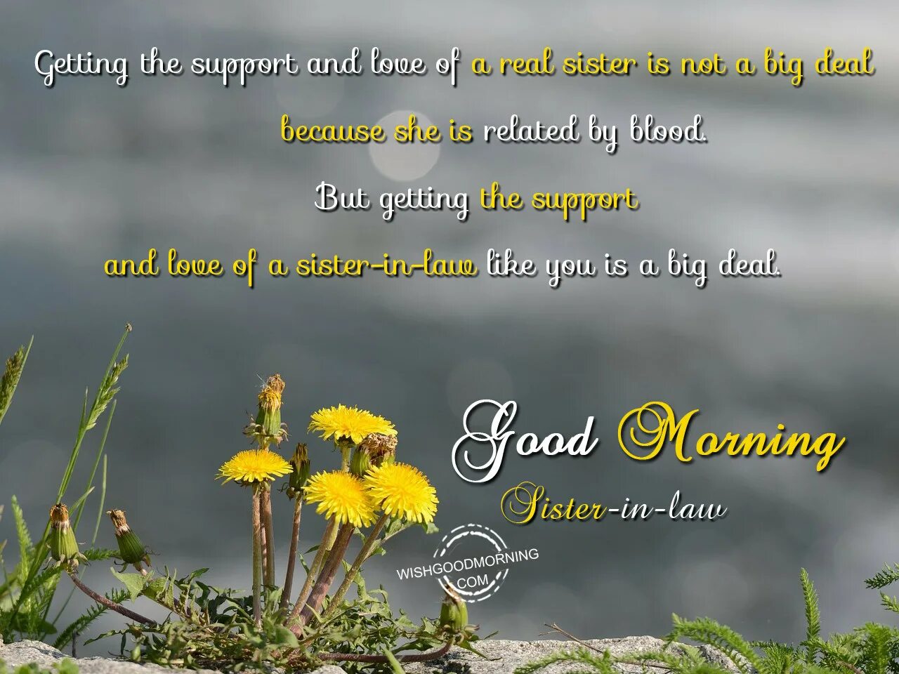 What s good with you. Good morning sister. morning, sis. with sisters morning.