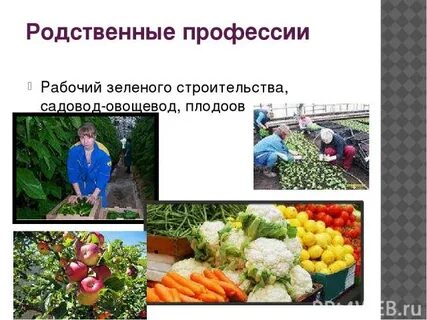 Какое практическое значение имеет процедура для овощевода