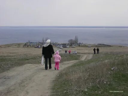 Стрельноширокое волгоградская область дубовский