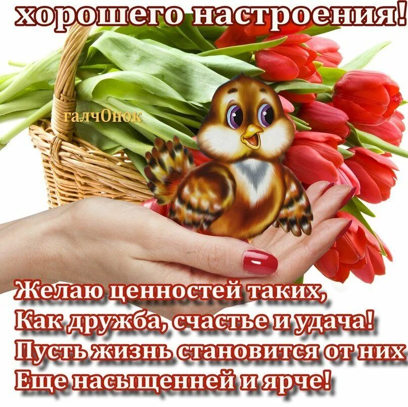 Добра здоровья благополучия и с добрым утром. Пожелания здоровья и благополучия. Здоровья и отличного настроения. Пожелания доброго дня и здоровья. Пожелание здоровья и хорошего настроения.