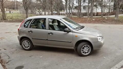 Сколько лошадей в калине