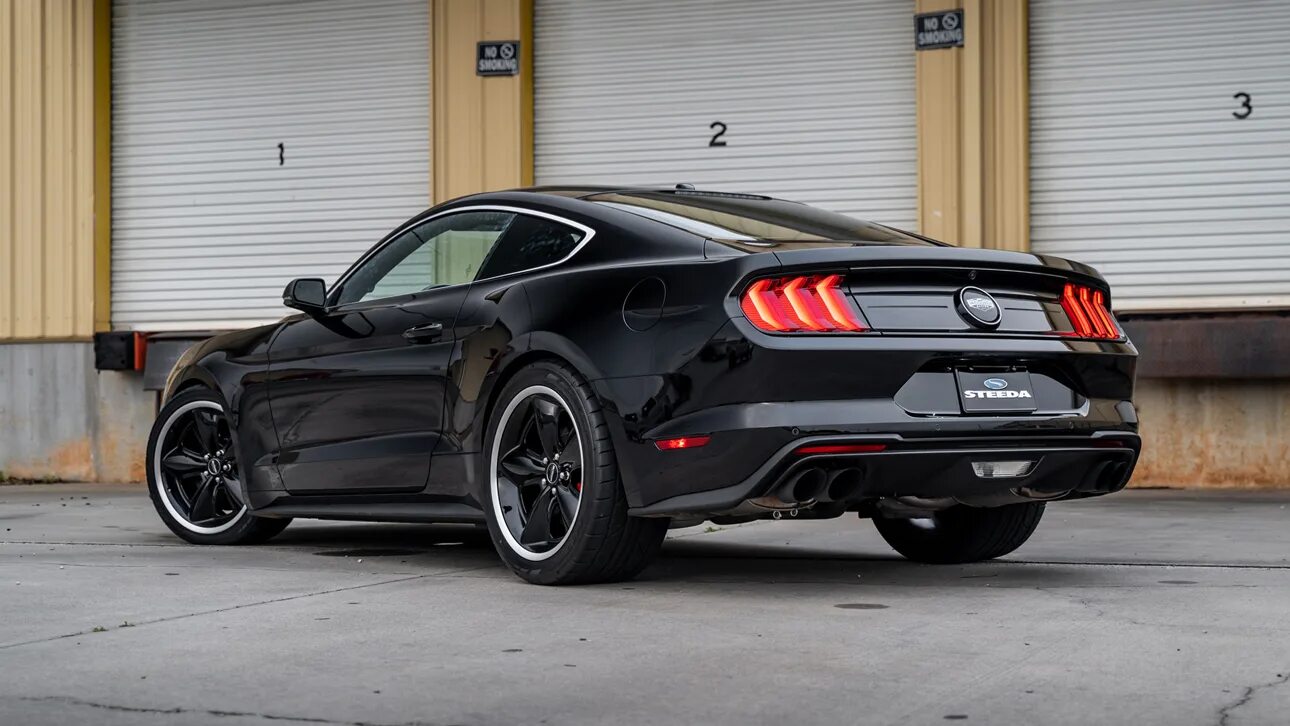 Ford mustang gt 2025. Форд мустанг 2025. форд мустанг 2019 матовый. ford mustang gt маккуин.