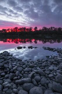 A scape