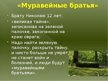 Муравейные братья