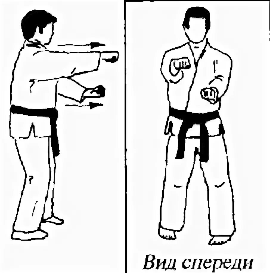 Удары руками эмпи рукопашный бой. Кихон на 1 кю. Моротэ цуки чудан. Базовая техника это. Вьетводао вовинам книги.