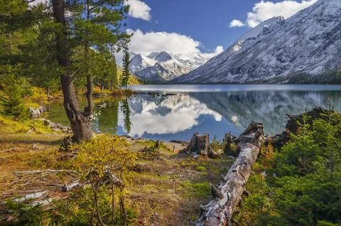Пейзажи горного алтая