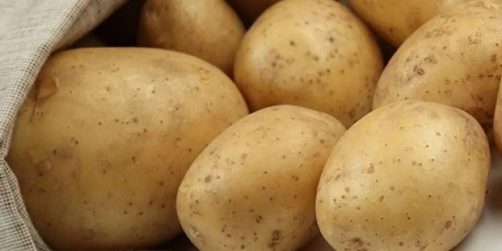 Грей картошку. Сорт картофеля Лилея. Картофель сорт Лилея белорусская. Картофель Пинк Гипси.