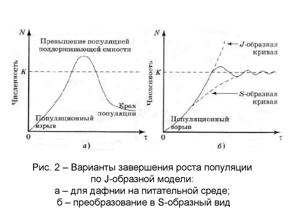 Расчеты популяций. Модели роста популяции. J образная кривая роста популяции. S-образная кривая популяции. Схему "модели роста популяций",.