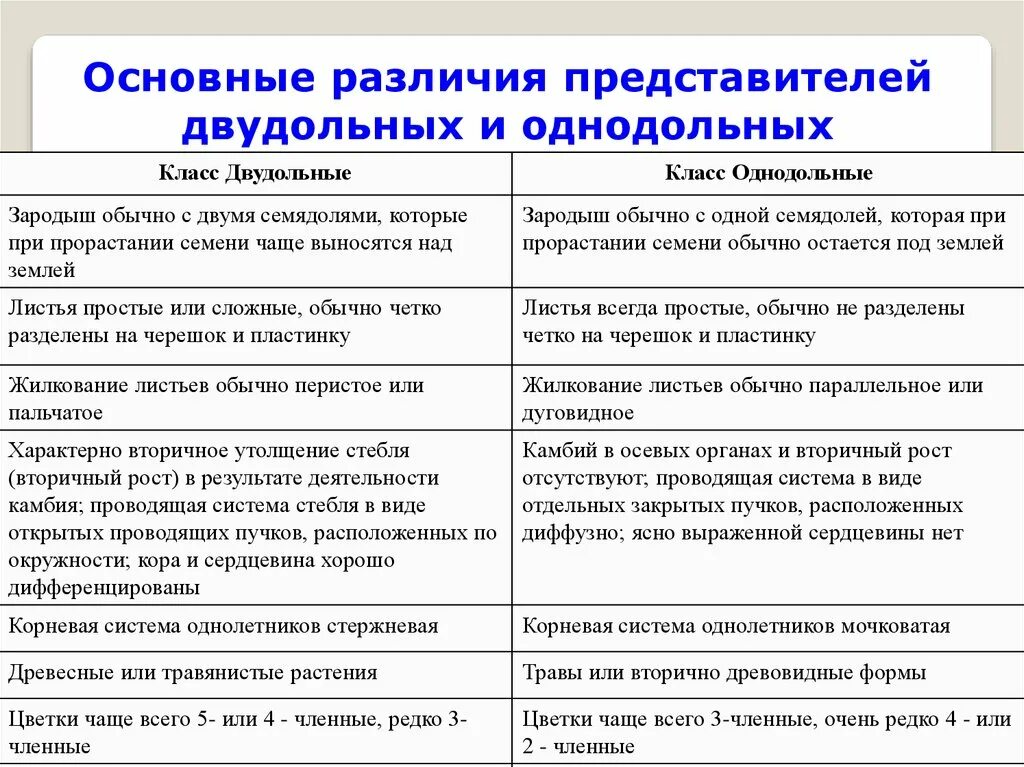 Характеристика классов однодольных и двудольных растений таблица. Однодольные и двудольные различия таблица. Сравнение классов однодольных и двудольных растений таблица. Признаки сравнения однодольных и двудольных растений таблица.