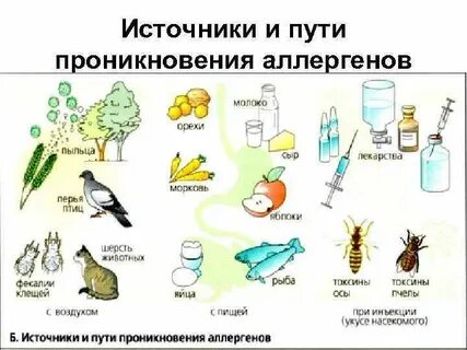 Уровень аллергенов