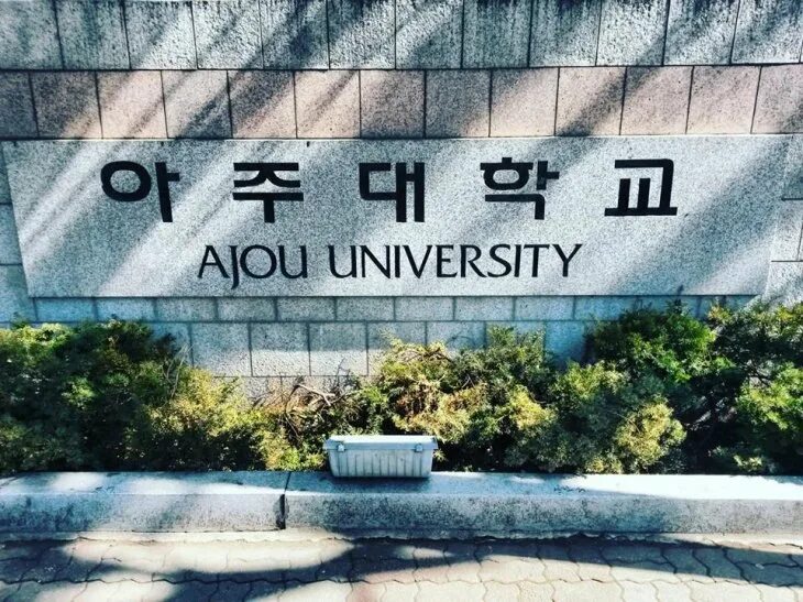 Ajou university факультеты. Ajou university in tashkent architect. Университет аджу. Ajou university. Adju in tashkent.