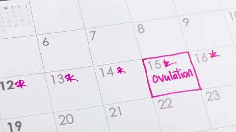 Забеременеть па до овуляции