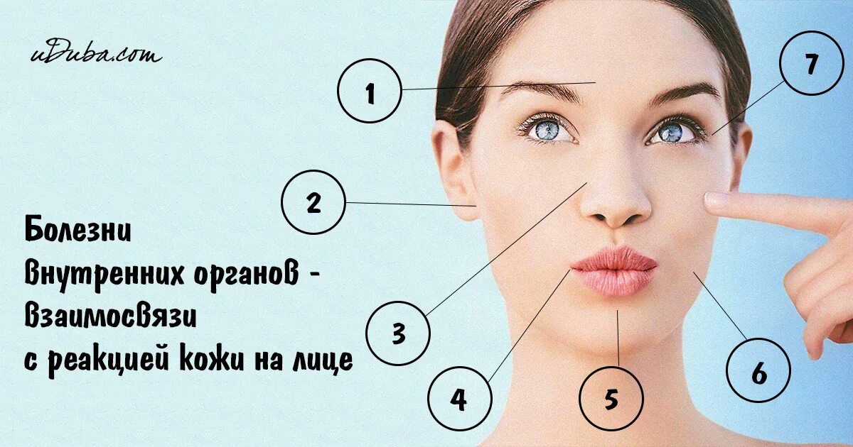 Определить органы по лицу. Прыщи и заболевания внутренних органов. прыщи на лице и заболевания внутренних органов. прыщи на подбородке орган. определяем болезни по лицу.