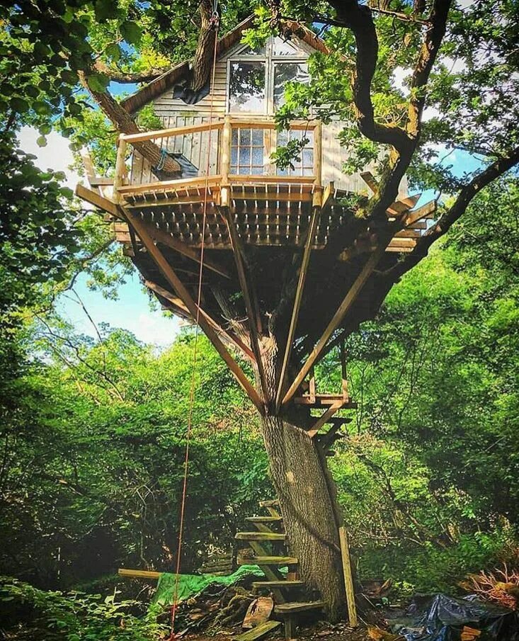 Построй настоящий на дереве дом. Treehouse домик на дереве. дом на деревьях шотландия климанрюк. трихаус. домик в деревне.