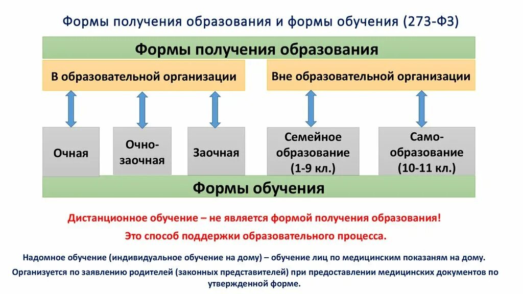 Формы получения образования и формы обучения. Формы получения образования и формы обучения в РФ. Формы обучения по закону об образовании в РФ. Перечислите основные формы получения образования.