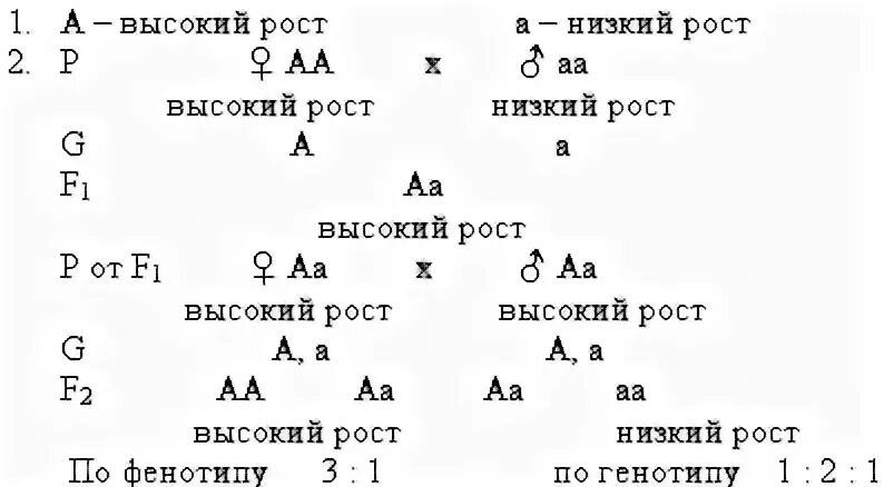 Задачи на 1 закон Менделя. Биология задачи по генетике 1 закон Менделя. Генетические задачи по 1 закону Менделя. Генетические задачи 1 и 2 закон Менделя 10 класс. Решение задач по биологии 10 класс генетика