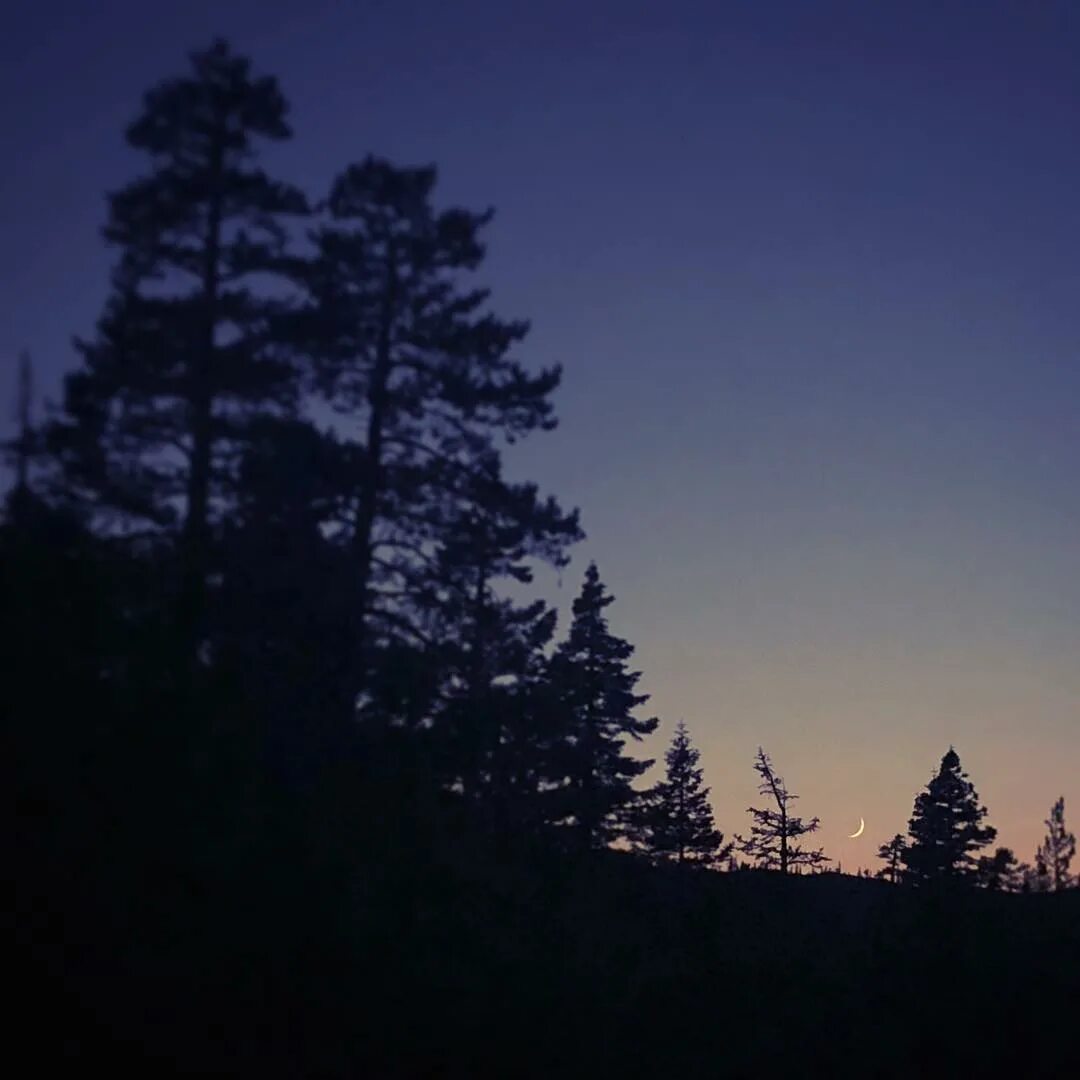 Where your night