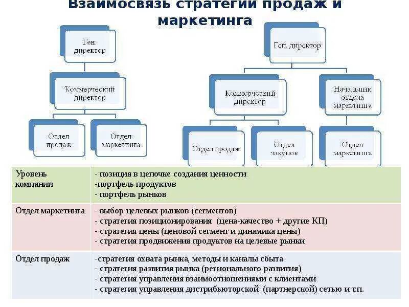 Отдел сбыта и продаж. Структура компании по продажам схема. организационная структура менеджера по продажам. отдел развития и маркетинга. структура отдела продаж и развития.