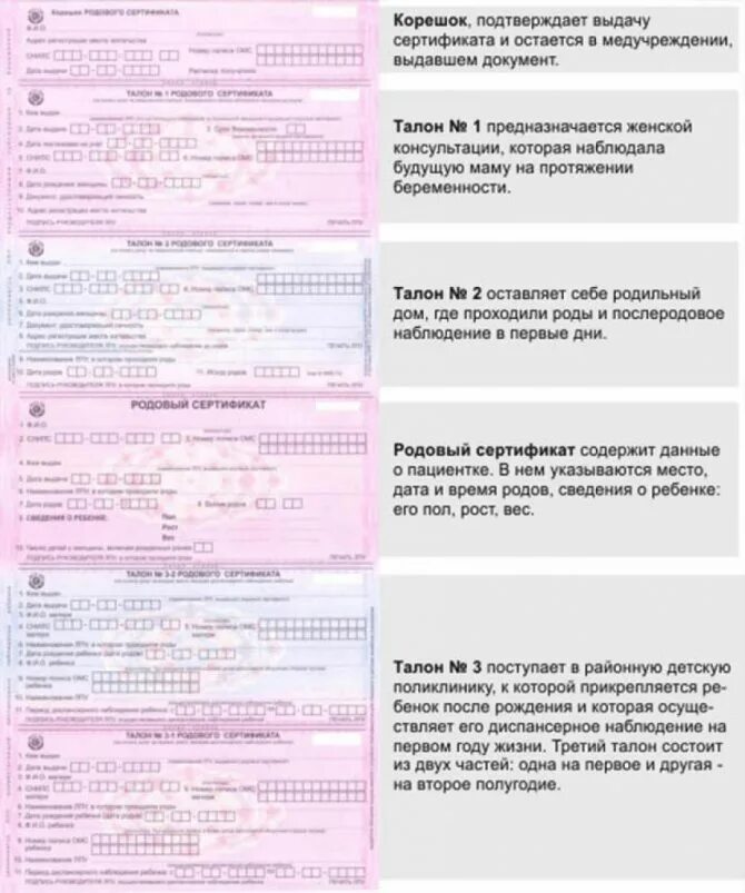 Какие документы для родов. Родовой сертификат. родовый сертификат. заполненный родовой сертификат. талон 2 родового сертификата.