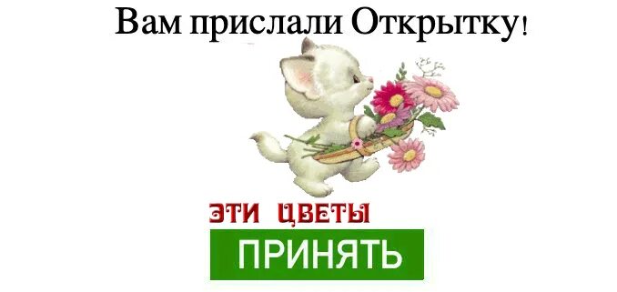 Бывший прислал открытку. Открытка чтобы не присылали открытки. Достали отправлять открытки.