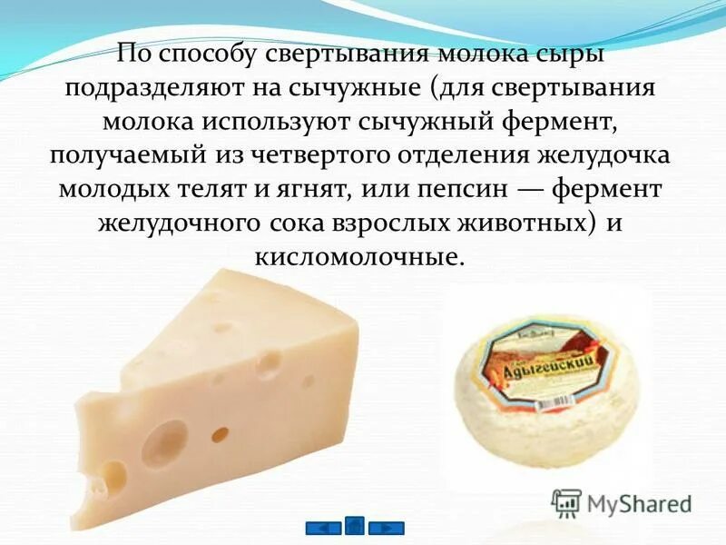 Сыр из молока и сычужного фермента. Сыры сычужные и кисломолочные. свертывание молока для сыра. мягкие сычужные сыры классификация. твердые сычужные сыры.
