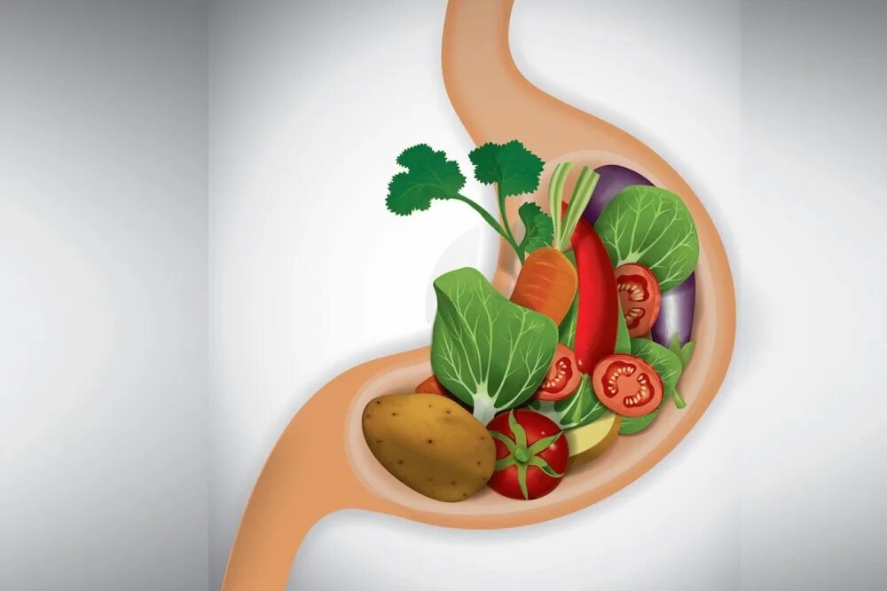 Здоровое пищеварение. Пищеварение еда. Легкое переваривание пищи