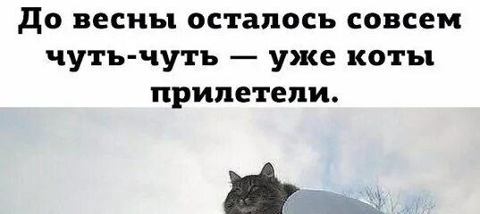 До 23 февраля осталось совсем чуть. До 23 февраля осталось. До весны осталось совсем чуть-чуть. Солдаты прапорщик шматко. Скоро 23 февраля прикольные.