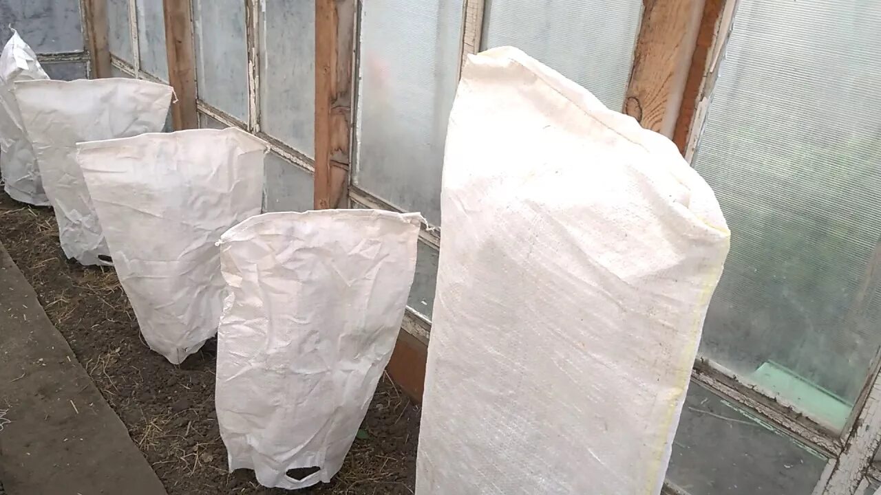 Как утеплить рассаду