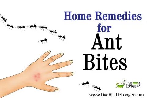 These bites