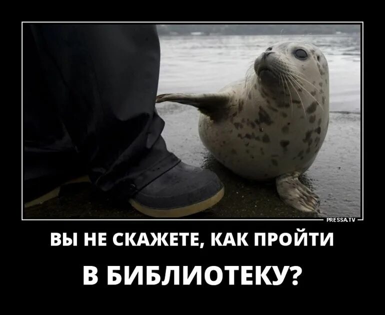 Рубль после выходных. Рубль после выходных