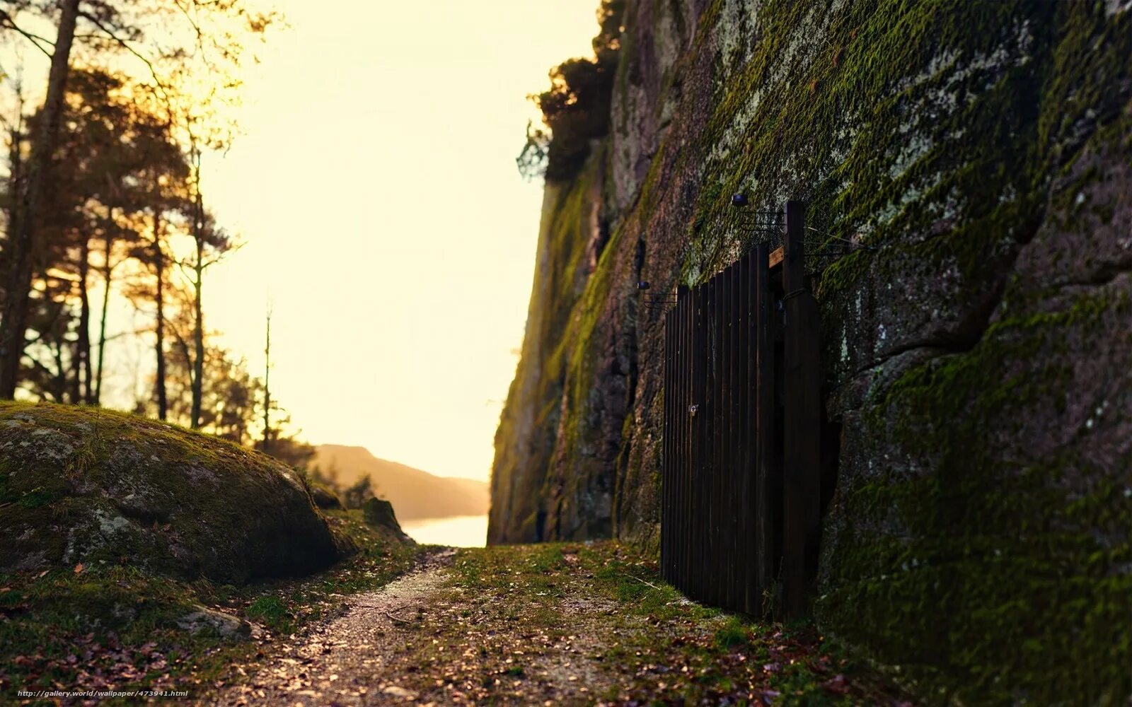 Дверь в скале горный. Каменная дверь в горе. Ворота природа. Калитка природа. Забытые скалы