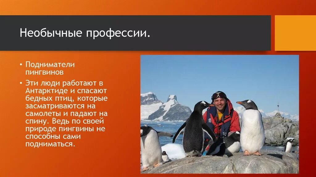 Самая редкая работа