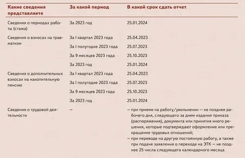 Ефс за 2023 год какие разделы сдавать