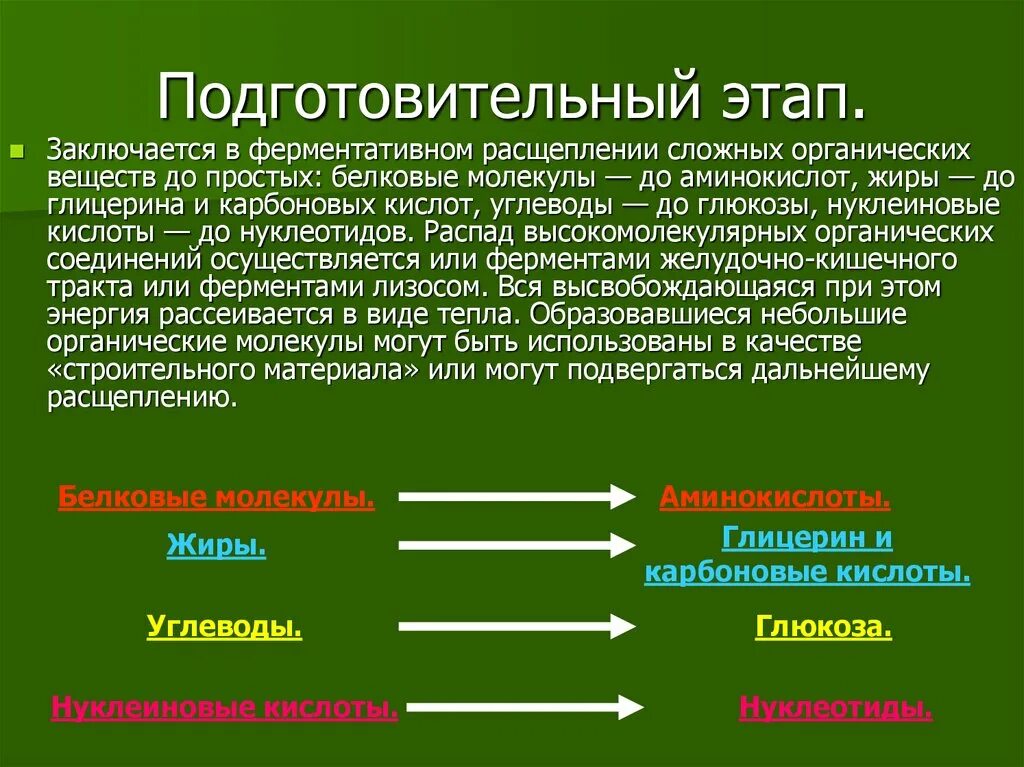 Подготовительный этап где. Подготовительный этап заключается в. расщепление органических веществ. расщепление сложных органических веществ. распад сложных органических веществ.