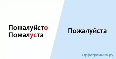 Можете пожалуйста как пишется
