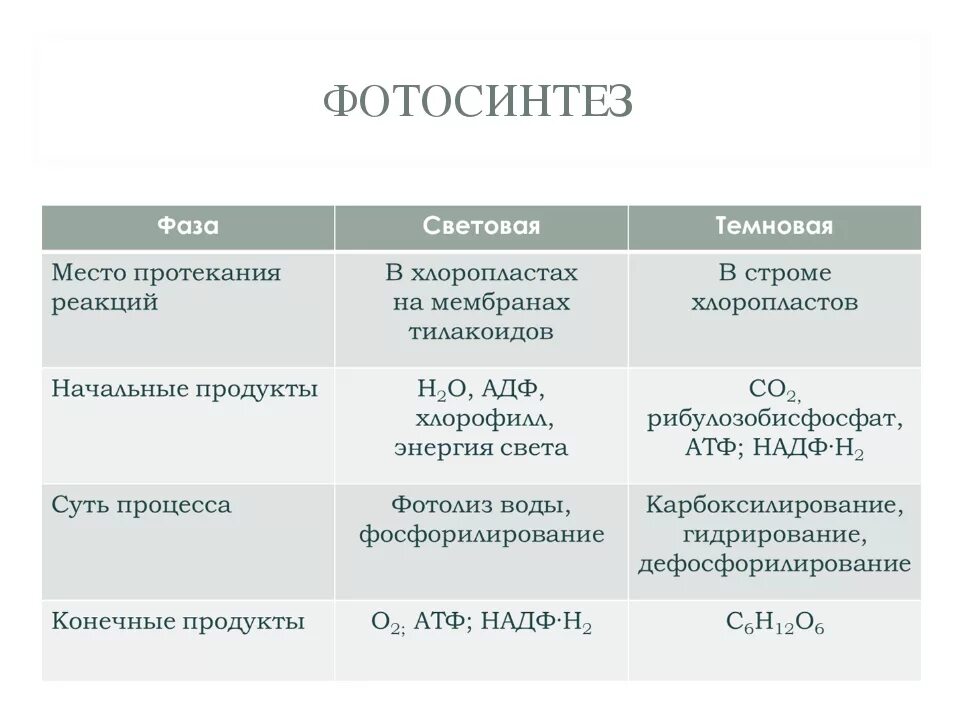 Сравнение реакции. Световая и темновая фаза таблица. Продукты реакции световой фазы фотосинтеза. Биология 10 класс световая и темновая фаза. Фотосинтез 10 класс биология световая фаза.