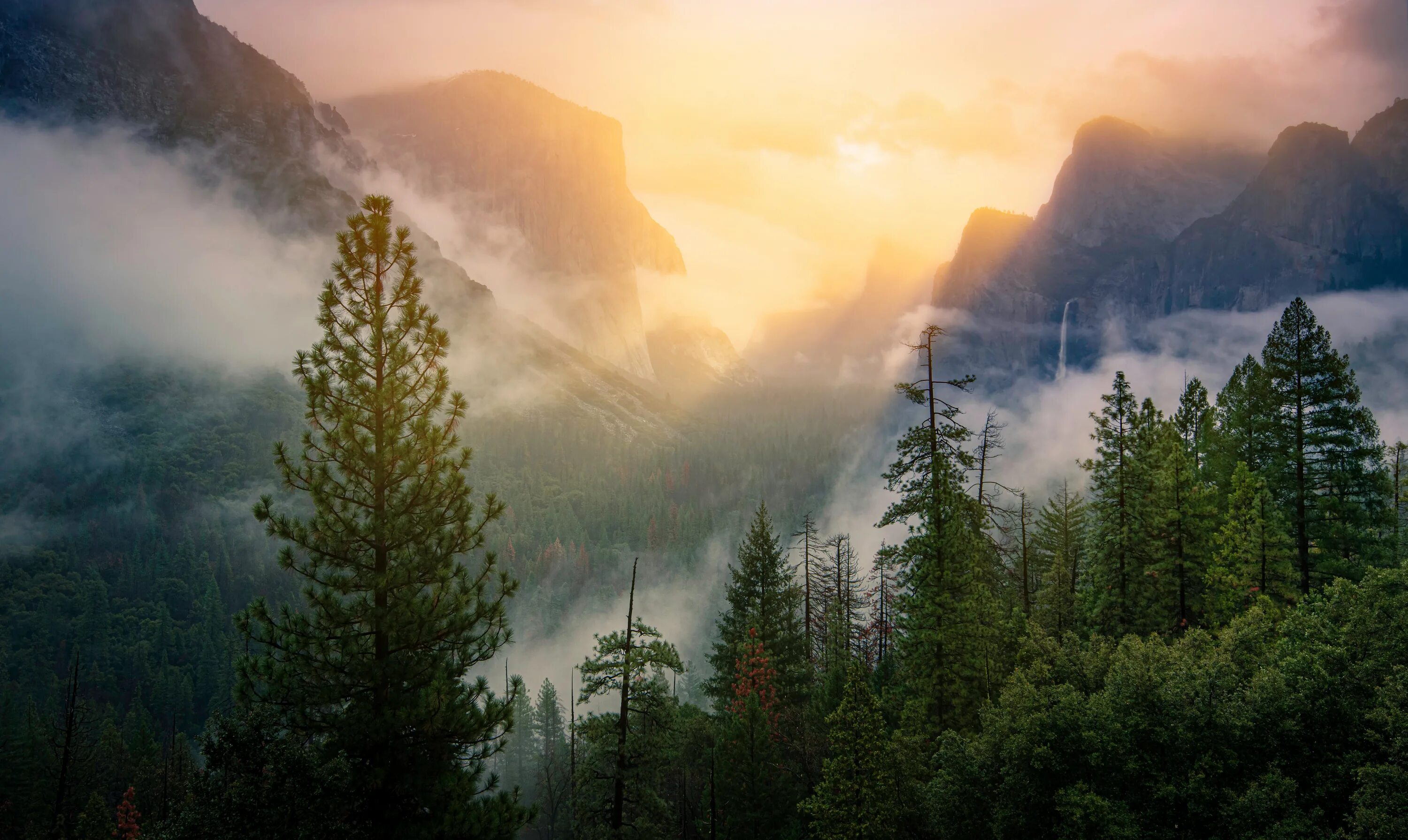Национальный парк Йосемити в тумане. Долина Йосемити Эстетика. Йосемити хвойный лес. Туманный лес Таганай. Т в лесах и на горах