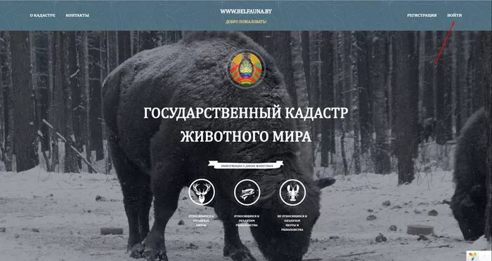 государственный кадастр животных. эколого правовой режим животного мира. кадастр животного мира функции. кадастр животного мира функции. кадастр животного мира функции.