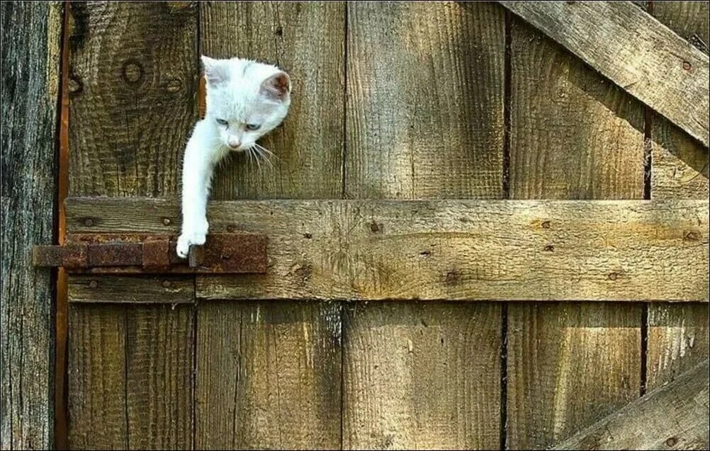 Девушка и парень саружием. Какой бы ни была внешняя ситуация. Какая бы ни была ситуация. Цитаты о ситуации. Цитаты о радости.