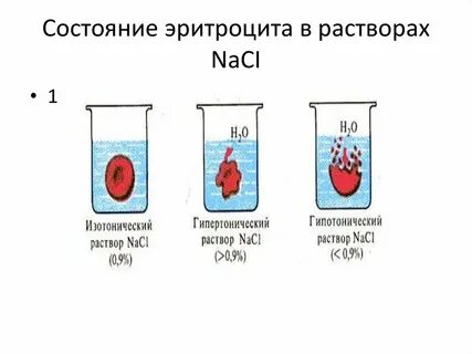 Лизис эритро