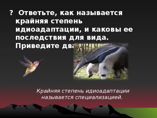 Примеры идиоадаптаций у организмов класса млекопитающих. Примеры идиоадаптаций у организмов класса млекопитающих