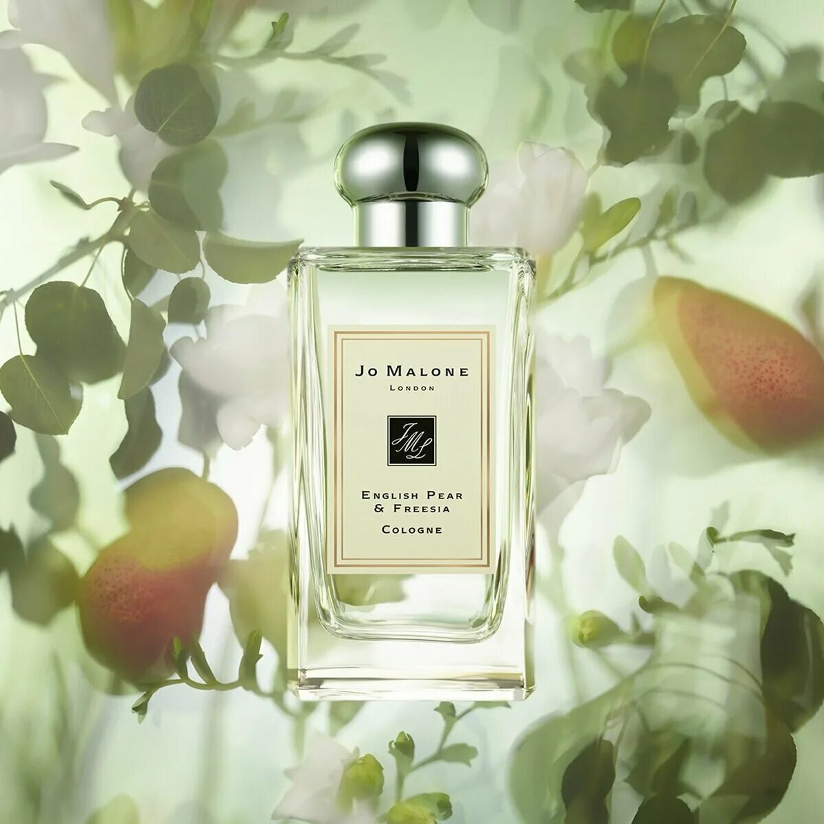Pear freesia перевод. Jo malone english pear freesia cologne. Jo malone english pear and freesia. Джо малон english pear freesia. Духи джо малон груша.
