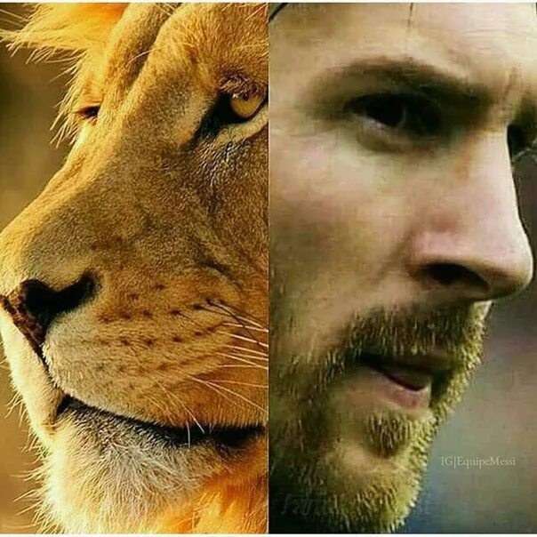 Almost same. Almost same