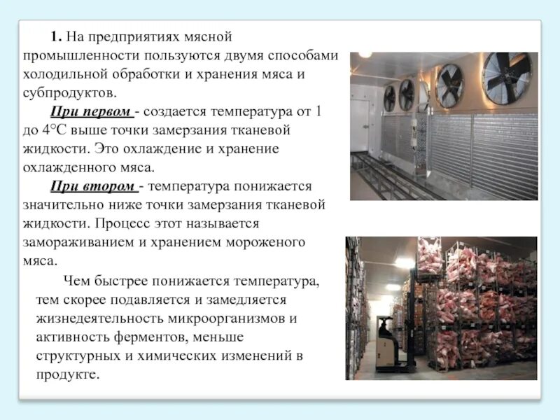 Производства обработки хранения и. Способы хранения мясной продукции. Способы холодильной обработки мяса. Технология хранения мяса. Хранение мяса на предприятии.